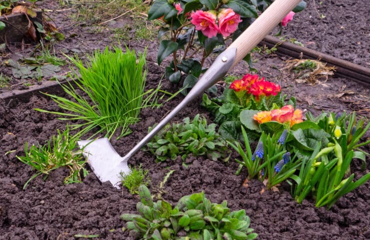 Die Bedeutung von langen Stielen für Gartengeräte: Ergonomie und Effizienz