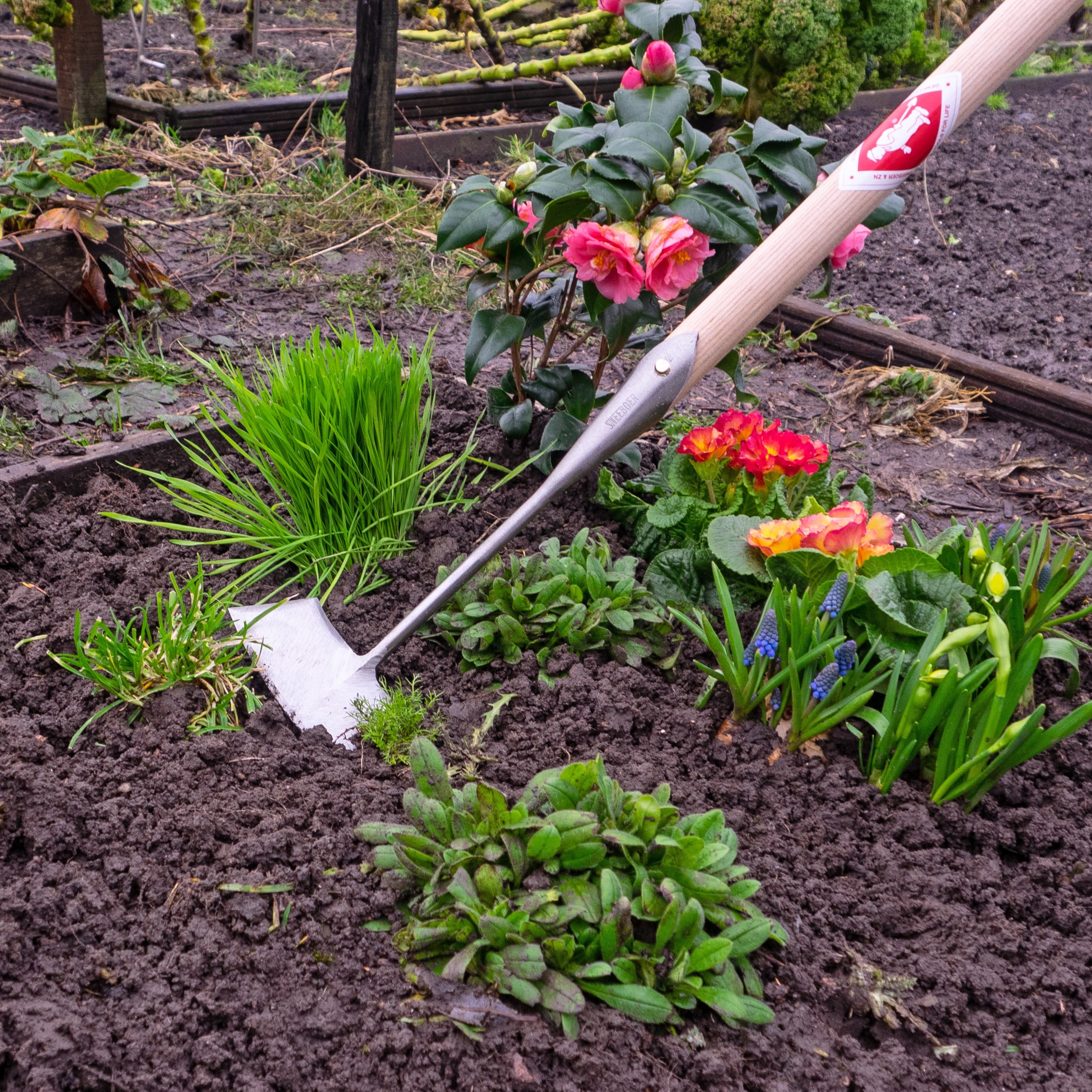 Het belang van lange stelen bij tuingereedschap: Ergonomie & Efficiëntie