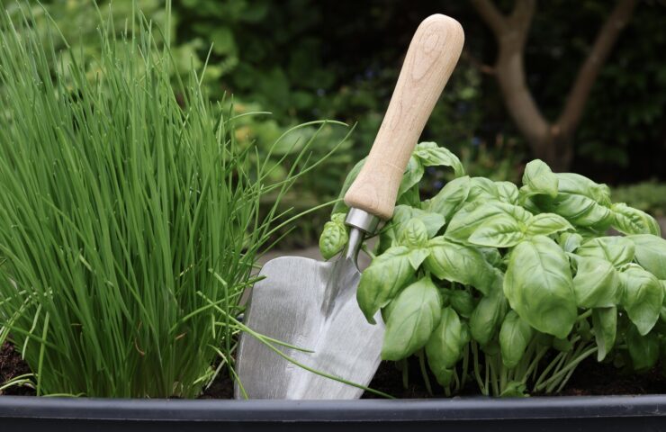 Tipps für die Gartenarbeit im Mai