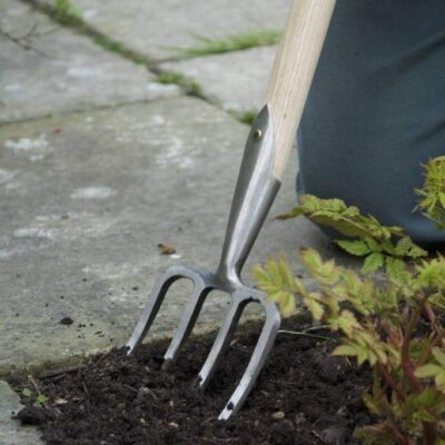 SneeboerスネーブールGreat Dixter Fork 4t園芸フォーク great-dixter-planting-fork-1-