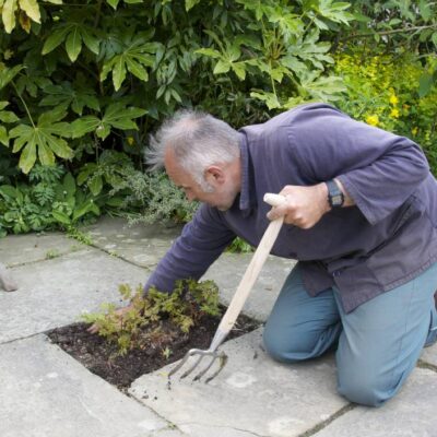 SneeboerスネーブールGreat Dixter Fork 4t園芸フォーク great-dixter-planting-fork-2-