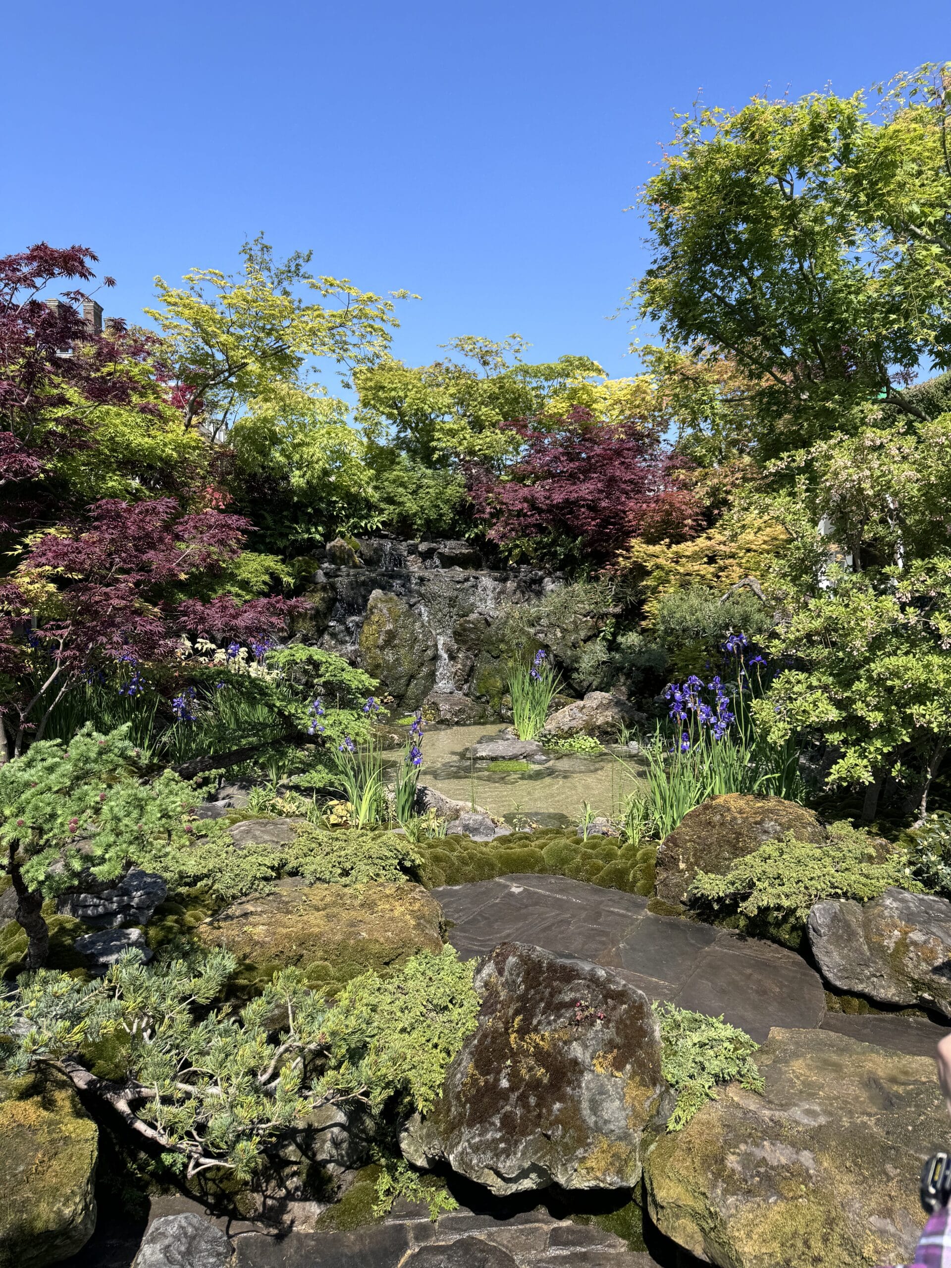 Summer gardening tips: make the most of June, July and August