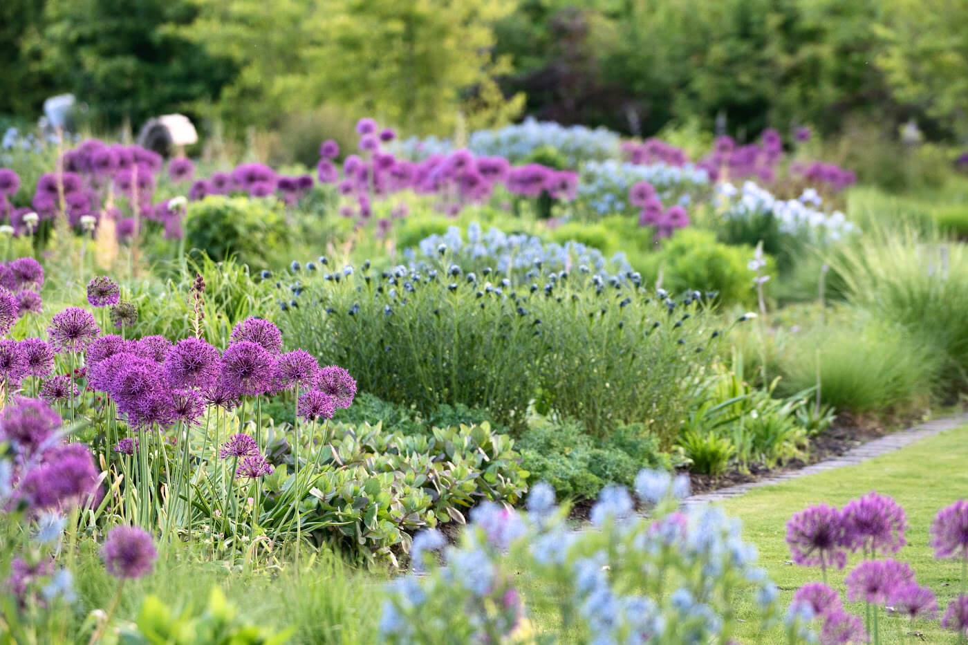 Lente tuinieren tips: wat je nu zaait, oogst je later