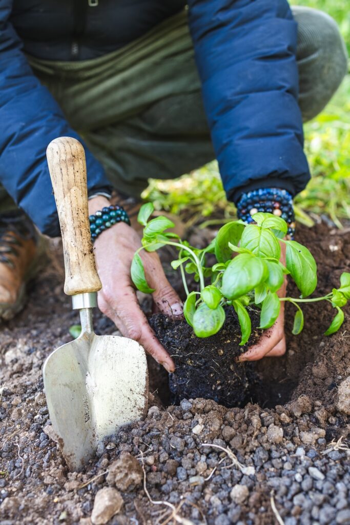 Vom Balkon auf 12 Hektar – Sneeboer geht nach Sizilien