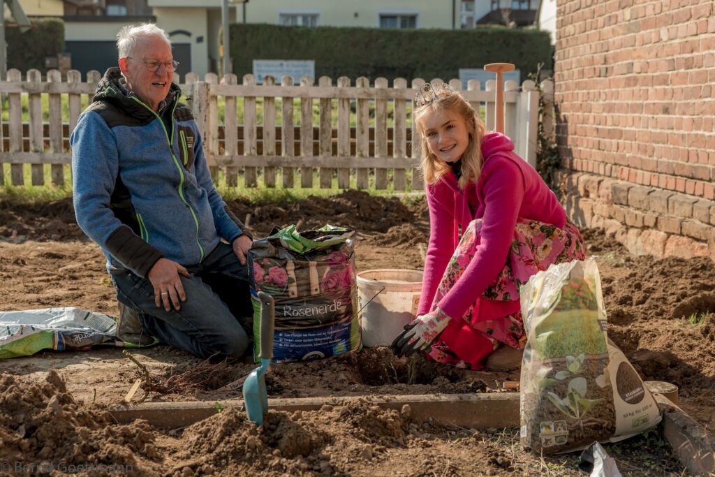 Sneeboer Rosenspaten, für die Steinfurther Rosenkönigin