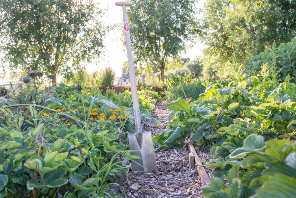 Spade in de zomertuin