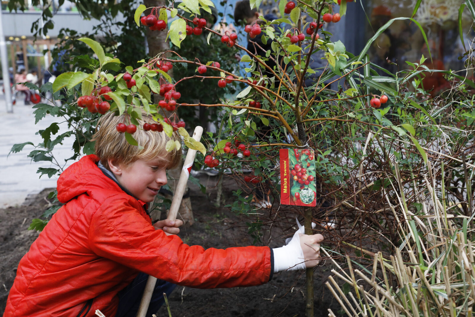Kinderen in de tuin, met het juiste gereedschap