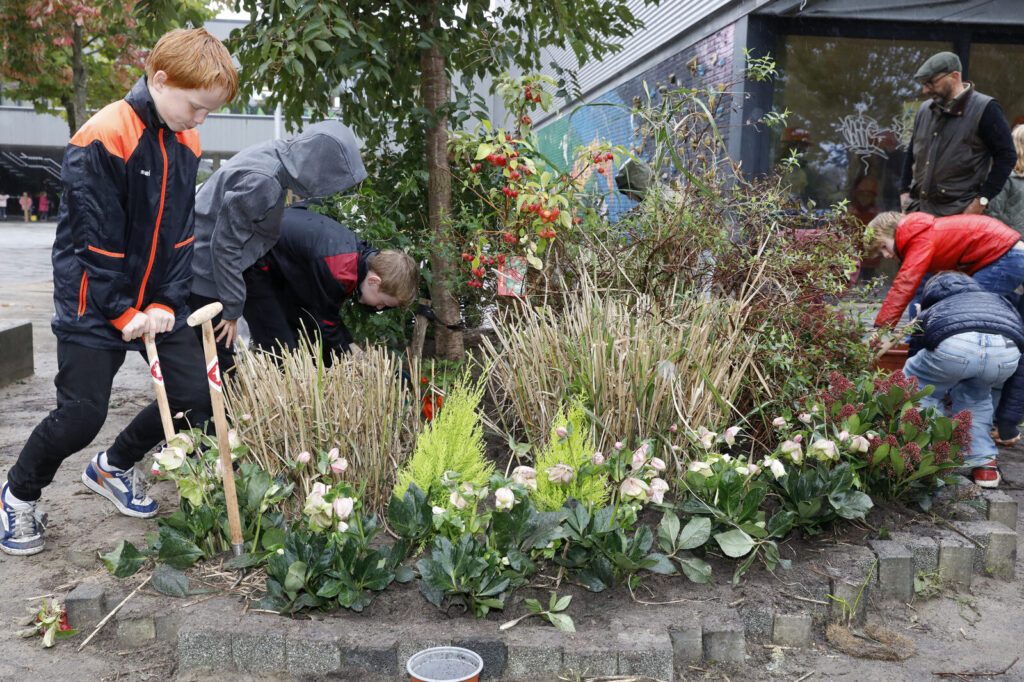 Kinderen graven plantgaten met Sneeboer tuingereedschap op het schoolplein