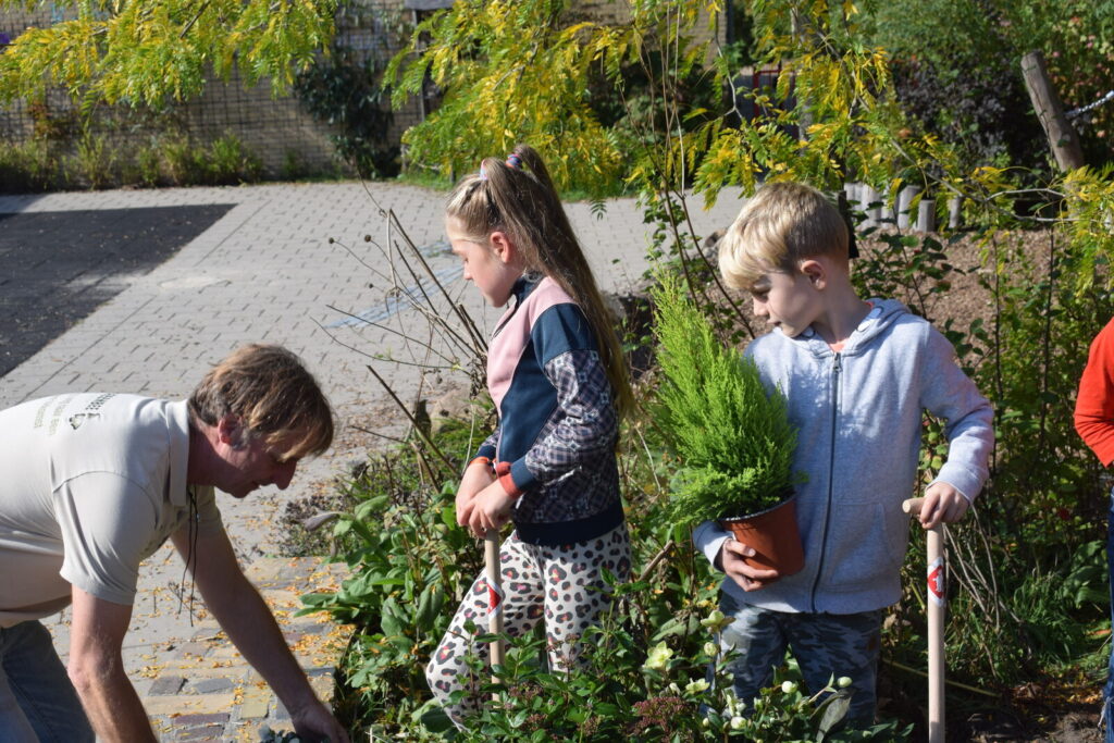 Leerlingen zetten een kleine conifeer in de grond